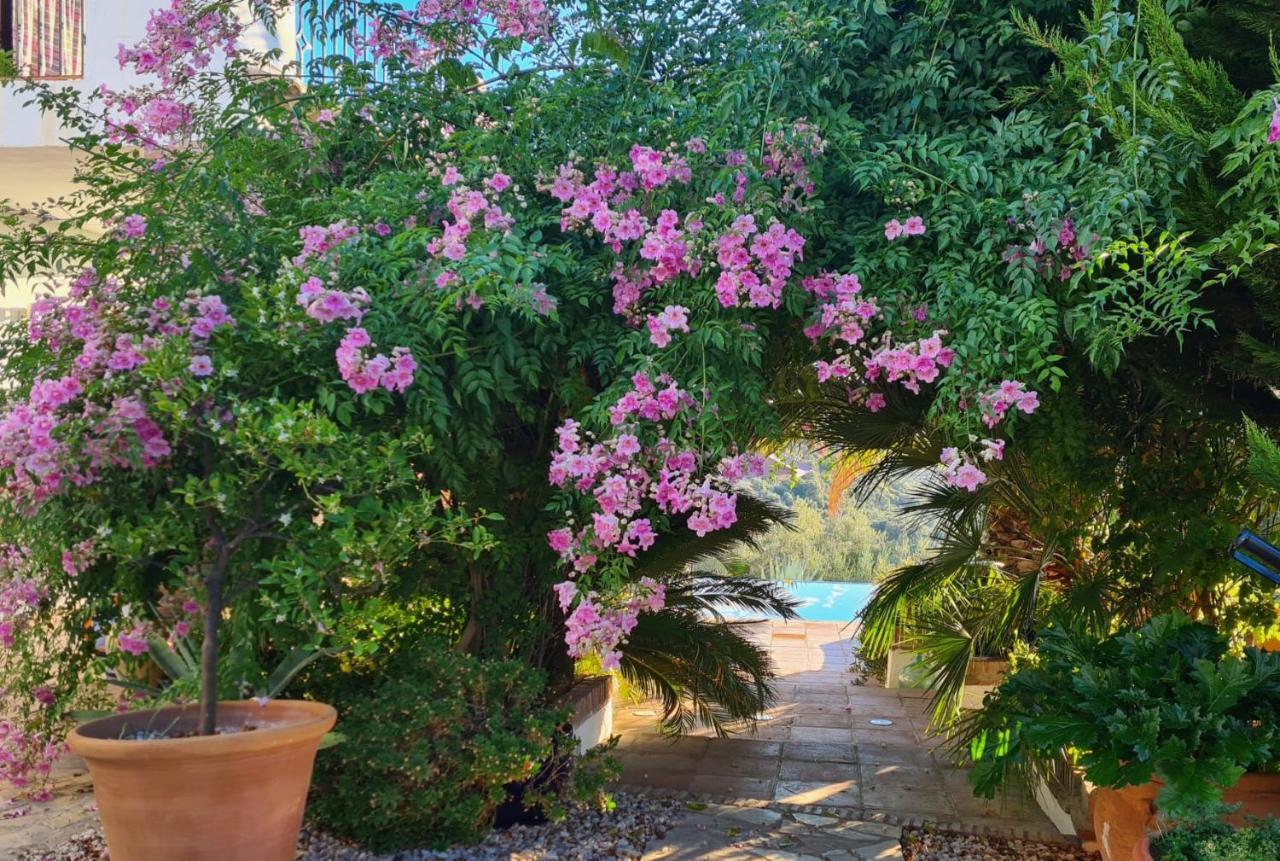 Cortijo La Haza Bed & Breakfast Iznájar Eksteriør bilde